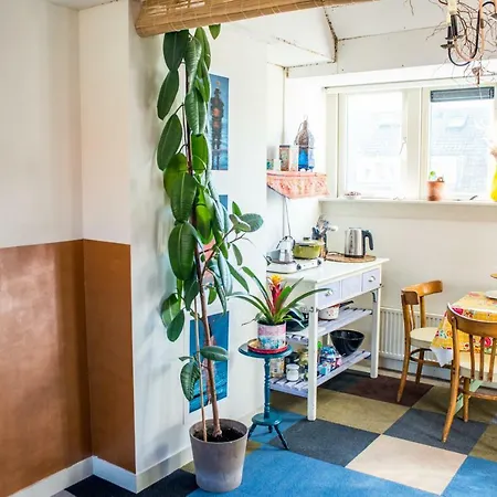 Cosy Studio North